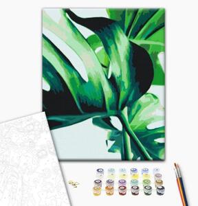 Quadro da dipingere con i numeri Monstera di Adanson