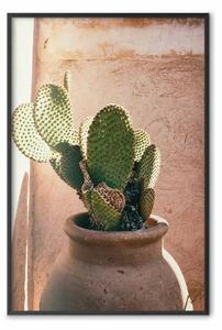 Poster: Cactus in vaso - succulenta in vaso su sfondo luminosità solare