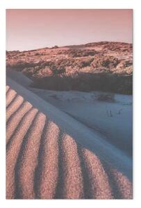 Quadro Sabbie rosa verticale - paesaggio desertico arabo