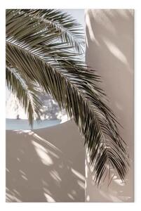 Quadro moderno Terrazza con vista verticale - foglia di palma in Marocco