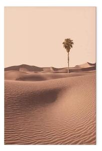 Quadro su tela Vegetazione desertica verticale - deserto arabo in Marocco