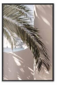 Poster: Terrazza con vista - palma su muro chiaro
