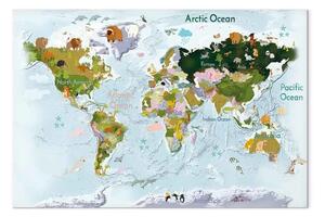 Quadro Mappa della fauna - disegni animali di vari continenti