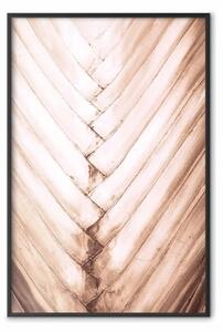 Poster: Struttura della palma - texture tropicale di assi di legno chiaro