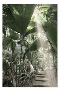 Quadro Fascio di luce verticale - paesaggio tropicale di piante