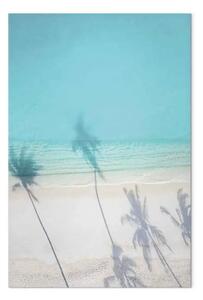 Quadro moderno Costa turchese - spiaggia marina con sabbia bianca all'ombra del palmo
