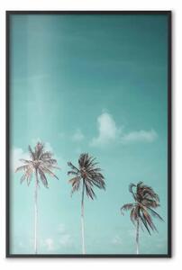 Poster: In libertà - paesaggio tropicale di tre palme contro il cielo chiaro