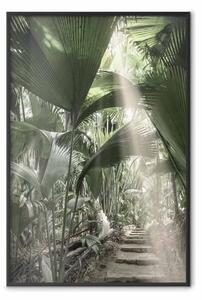 Poster: Raggio di luce