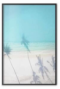 Poster: Mattino turchese - spiaggia con ombra di palme