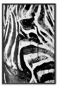 Poster: Natura a righe - zebra a righe bianche e nere in un motivo astratto