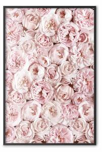 Poster: Fiori dal giardino - composizione di fiori rosa in motivo romantico