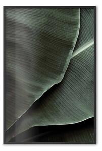 Poster: Rilievo verde