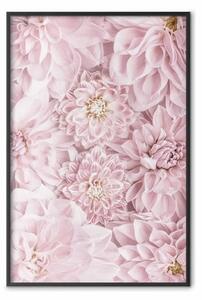 Poster: Fiori al mattino - composizione di fiori rosa in motivo romantico