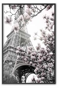 Poster: Magnolie parigine