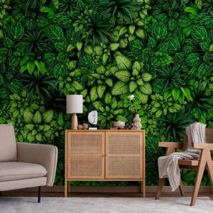 Carta da parati Boscaglia esotica - un giardino verticale con varie piante esotiche, nota verde ideale per un soggiorno moderno