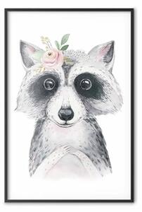 Poster: Piccolo procione - ritratto su sfondo bianco contrastante