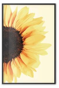 Poster: Più vicino al sole - girasole su sfondo giallo
