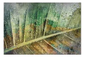 Quadro contemporaneo Gocce di pioggia su una foglia - tema botanico in colore verde