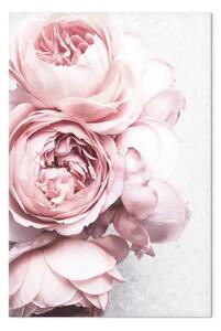 Quadro contemporaneo Aroma di rose verticale - fiori rosa in stile boho