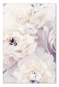 Quadro su tela Magnolia cremosa - composizione pastello con fiori in stile boho