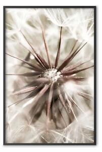 Poster: Vicinanza alla natura - composizione estiva con fiore
