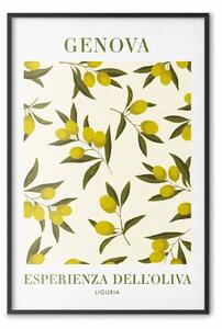 Poster: Olive della Liguria - piccoli frutti e scritte in italiano