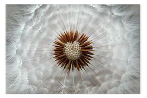 Quadro moderno Lightness breath largo - Dettaglio dente di leone