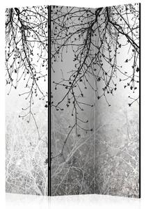 Paravento separè Luminosità naturale - Composizione in bianco e nero