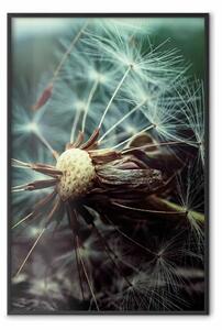 Poster: Ultima speranza