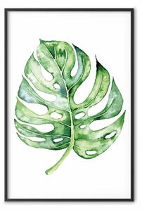 Poster: Monstera ad acquerello