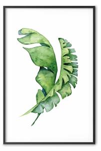 Poster: Foglie intrecciate