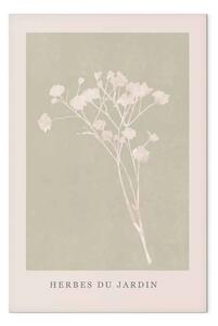 Quadro moderno Erbe in giardino - un ramo luminoso su sfondo beige e scritta francese
