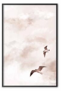 Poster: Appassionati del cielo