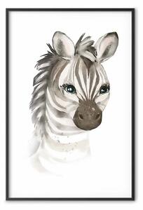 Poster: Piccola zebra