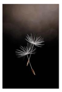Quadro Due semi di soffione - fotografia in stile Boho su uno sfondo scuro