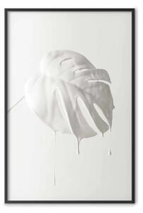 Poster: Monstera chiara - foglie bianche di pianta tropicale
