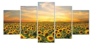 Quadro contemporaneo Girasoli al mattino (5 pezzi) largo