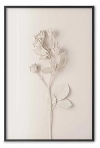 Poster: Rosa armonica - composizione unica con fiore su sfondo uniforme