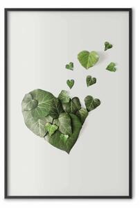 Poster: Edera amorosa - composizione in piante verdi su sfondo bianco