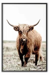 Poster: Giovane cervo - animale su sfondo paesaggio rurale e cielo chiaro