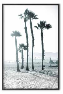 Poster: Palme al vento - spiaggia luminosa