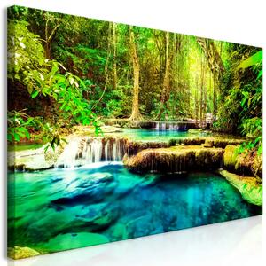 Gioiello della natura II - giungla e paesaggio tropicale con bellissimo specchio d'acqua tra gli alberi