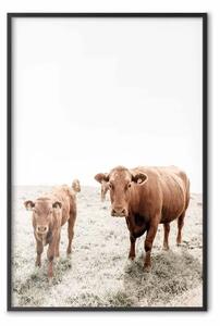 Poster: Mamma e vitellino - animali da fattoria su sfondo paesaggio rurale