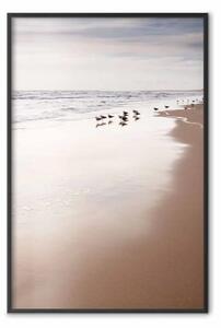 Poster: Autunno in spiaggia - mare e anatre