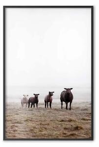 Poster: Amici al mattino - paesaggio di campo con animali su sfondo di nebbia