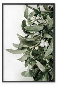 Poster: Vischio natalizio - pianta legata al Natale