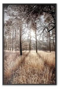 Poster: Dritto all'amore - paesaggio di foresta e alberi su alba