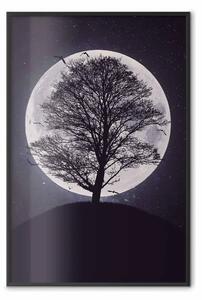 Poster: Albero solitario - paesaggio notturno di albero su luce di luna chiara