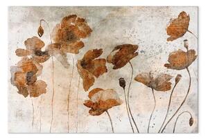 Quadro Papaveri acquerellati - fiori campagna boho