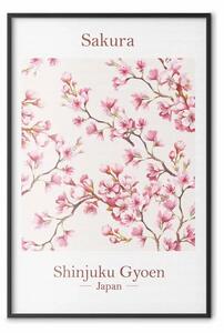 Poster: Sakura - testi in inglese e pianta giapponese con fiori rosa